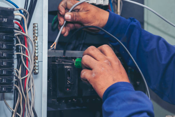 Best Affordable Electrician  in Holiday, FL