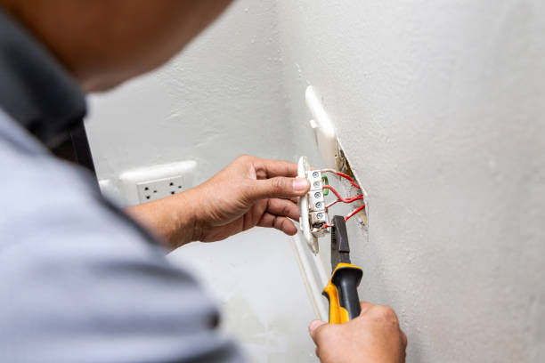 Best Licensed Electrician  in Holiday, FL